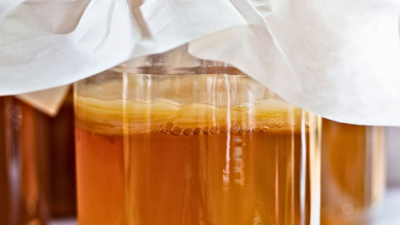 Kombucha