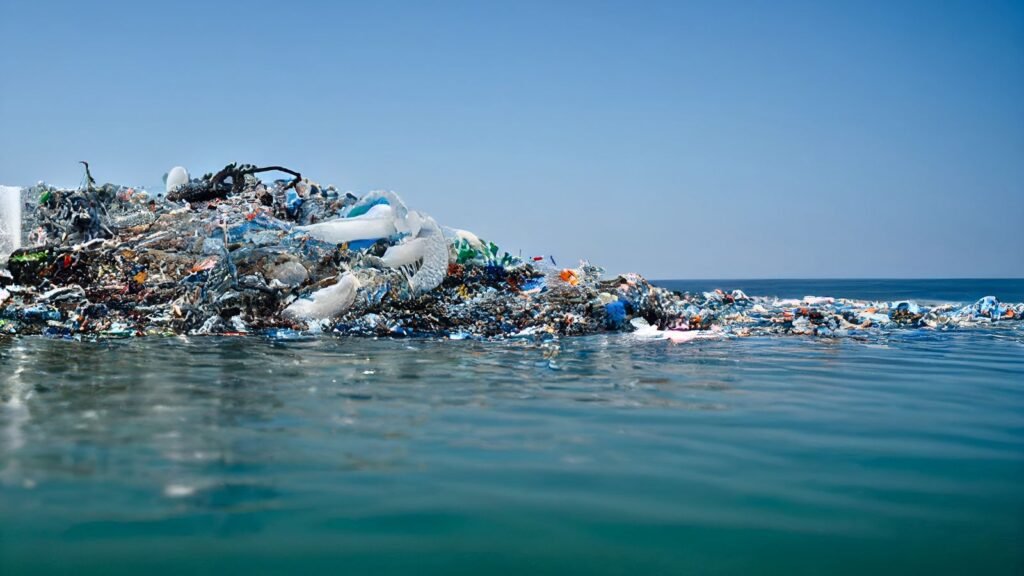 World Oceans Day