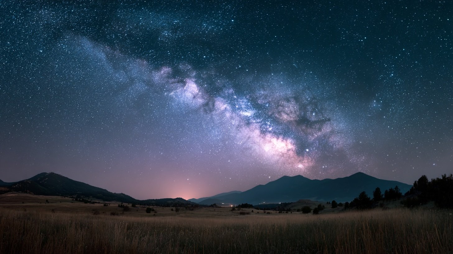 Dark matter in the Milky Way