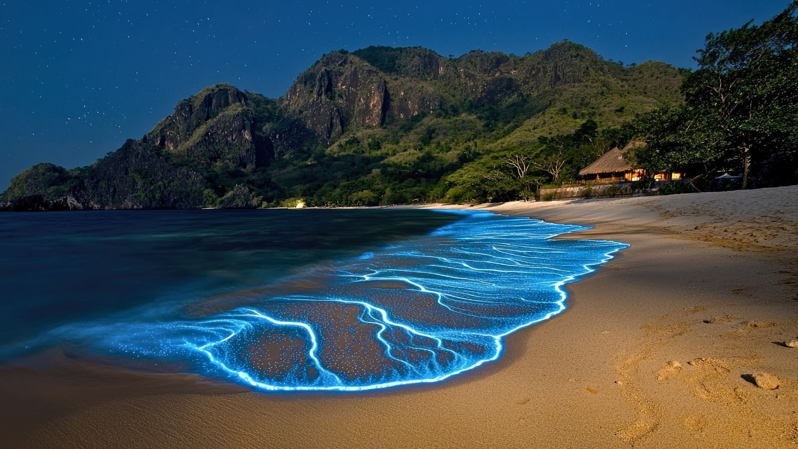 What makes bioluminescent seas glow like spilled stardust?