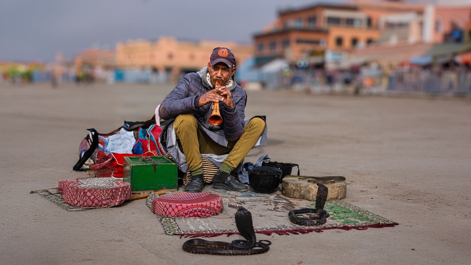 Snake Charming and the Art of Looking in Control